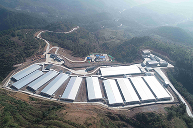 項目建設